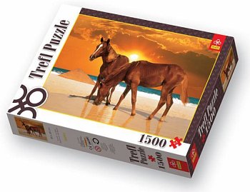 Konie na plaży