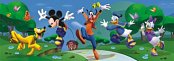 Mickey's Club: Hurá do parku