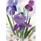 Motyl