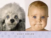 Wielkie niebieskie oczy