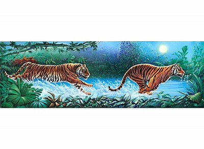 Bieganie tygrysów