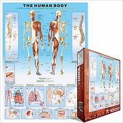 Ciało ludzkie