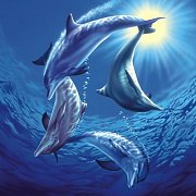 Gra z delfinami