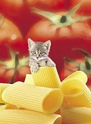 Pussy