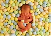 Dziecko w jajku
