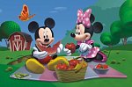 Myszka Mickey na pikniku